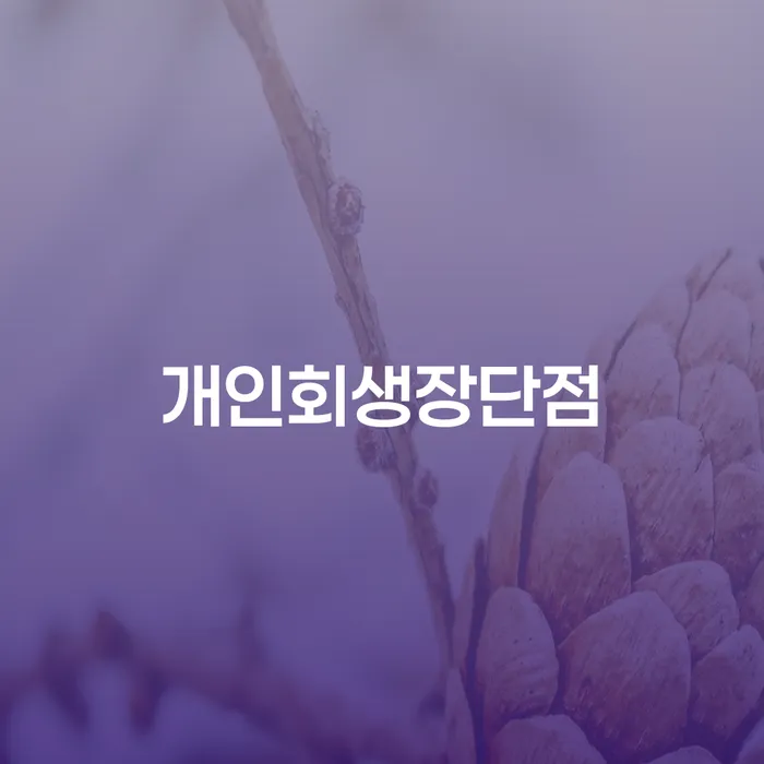개인대출 연체 시 빚청산 간편비교