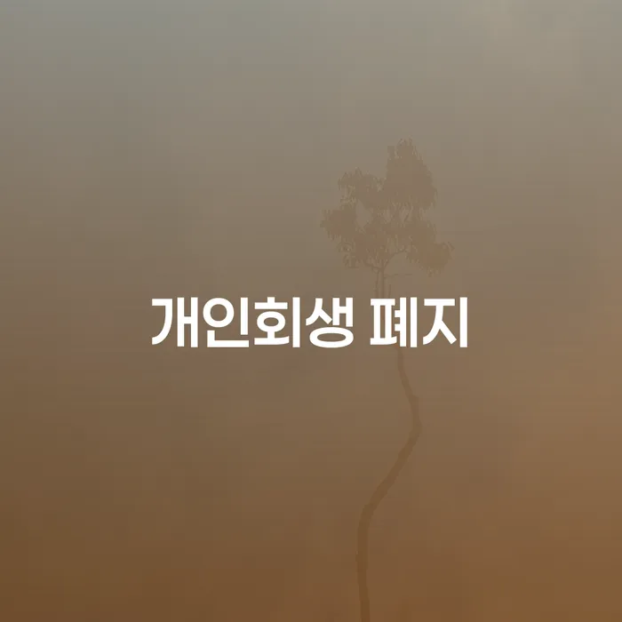 신용불량자사면 대출 연체 개인회생 추천하는 변호사