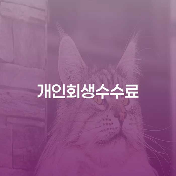 2금융대출 연체 시 개인회생 제도 신청했을 경우