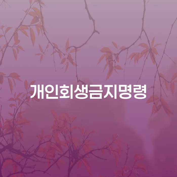 개인회생 연체 채무 신속해결방법 과정을