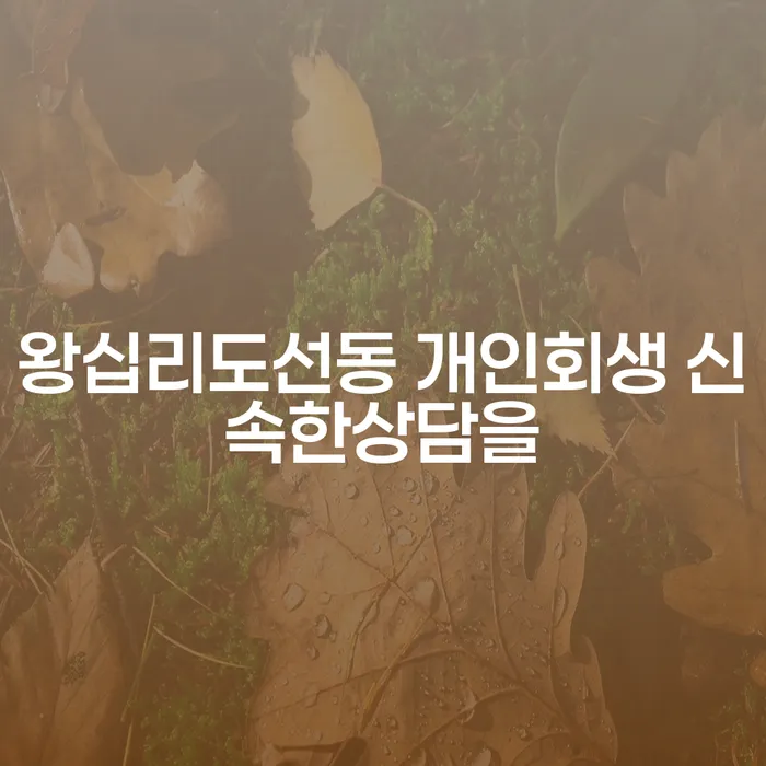 왕십리도선동 개인회생 신속한상담을