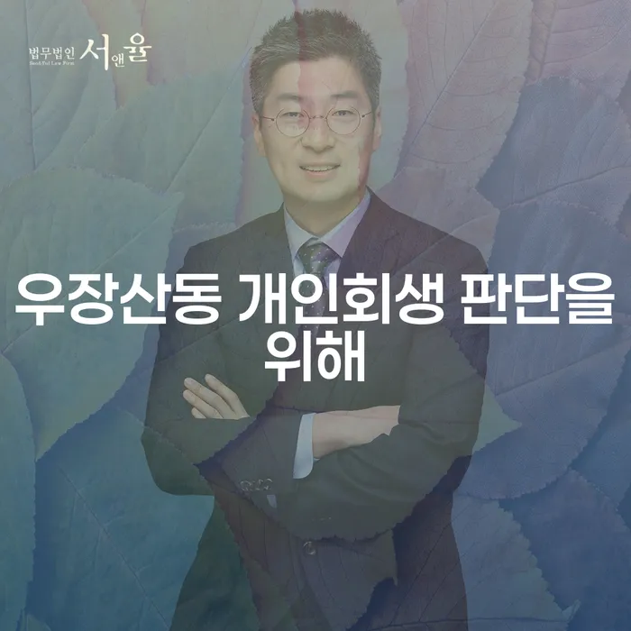 우장산동 개인회생 판단을위해