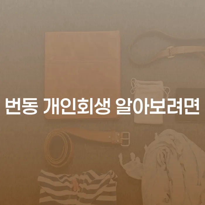 번동 개인회생 알아보려면