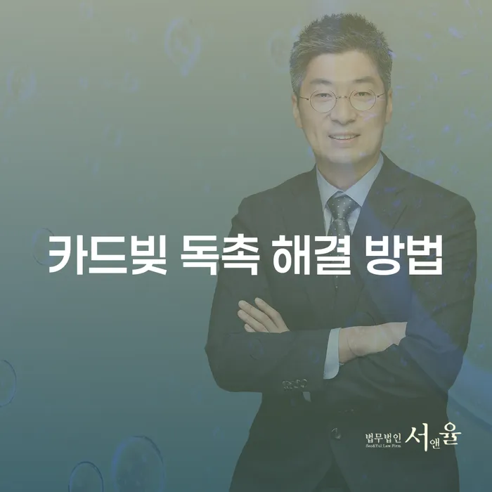 카드빚 독촉 해결 방법은 무엇일까요?