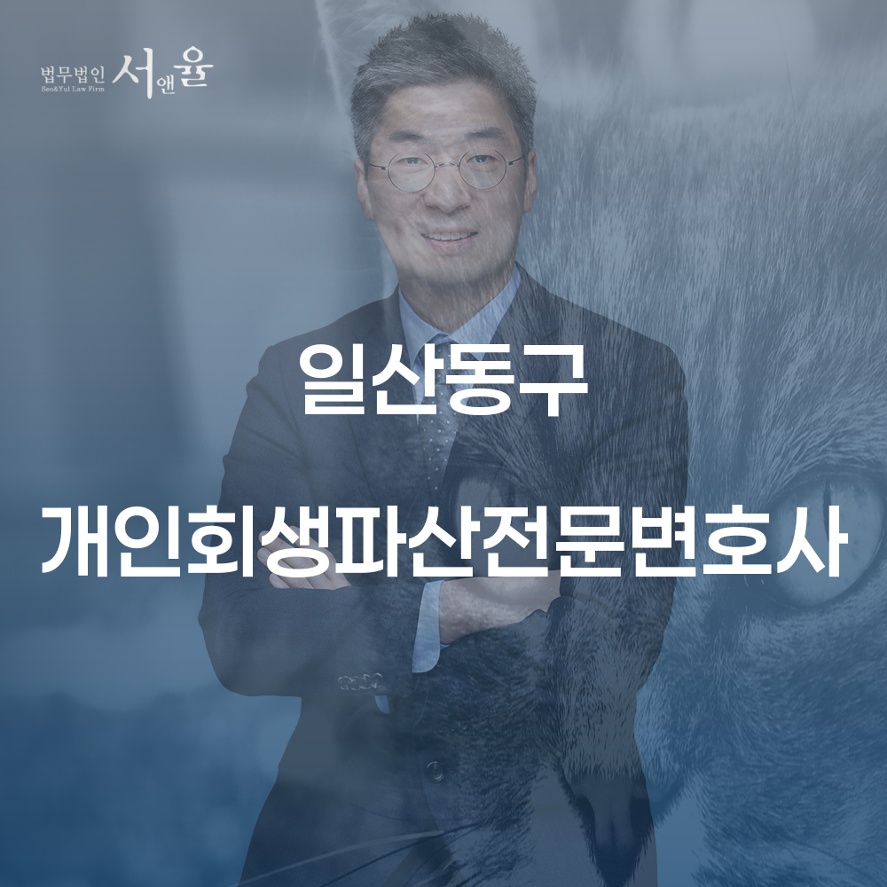 일산동구 개인회생 파산 전문 변호사의 역할과 절차