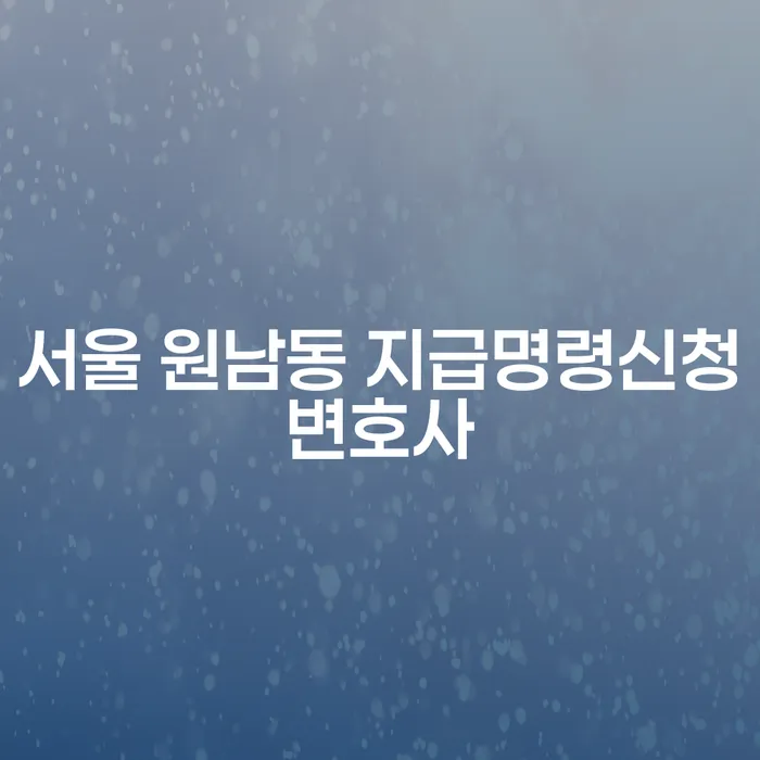 서울 원남동에서 지급명령 신청을 해야 할 때 어떤 변호사를 찾아야 할까요?