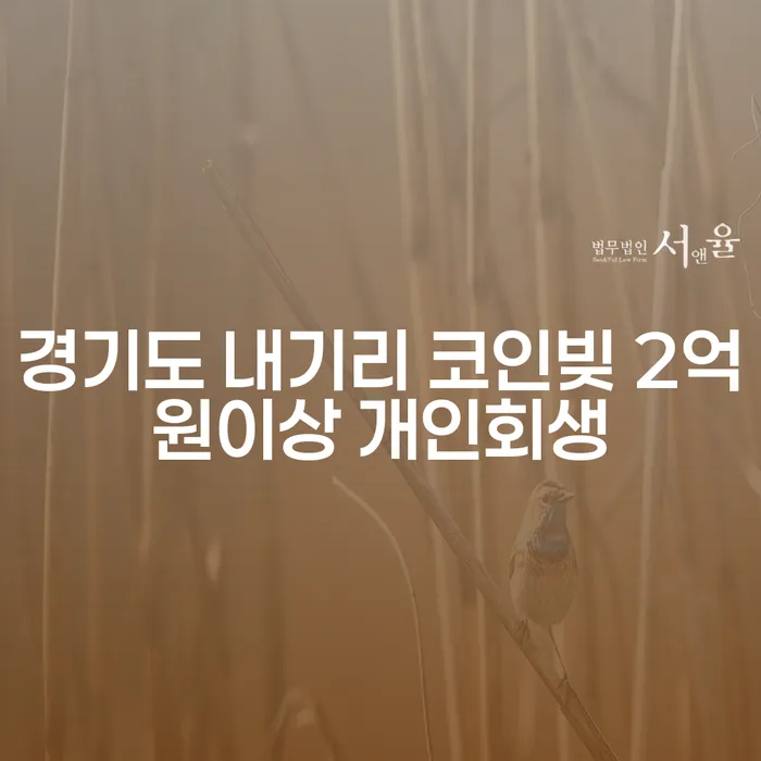 경기도 내기리 코인빚 2억원이상, 개인회생이 답일까요?