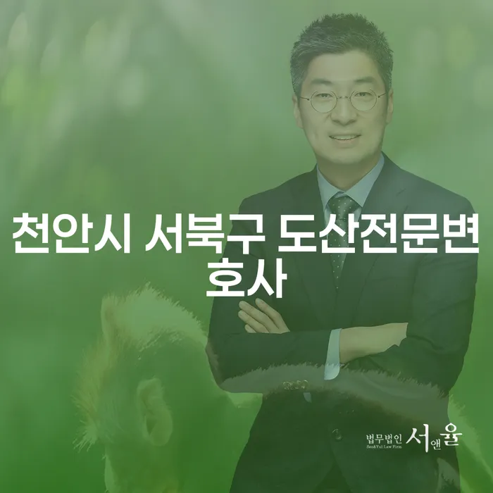 천안시 서북구 도산전문변호사와 용인시 개인회생, 채무 해결의 해답은?