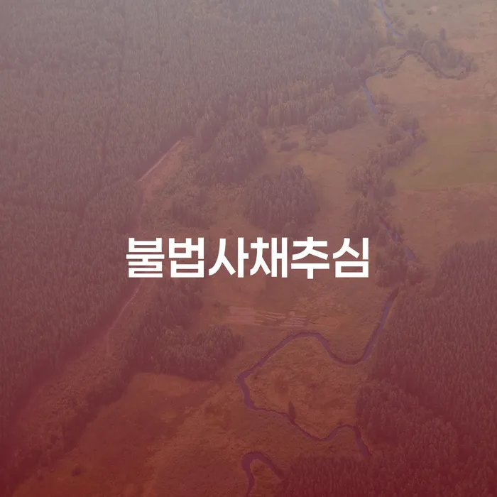 불법사채추심으로부터 벗어나는 법: 회생파산전문 변호사가 알려드립니다